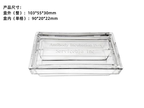 Servicebio 抗体孵育盒（2格、4格）为WB设计，适用免疫孵育反应