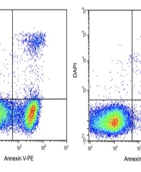 Elabscience® Annexin V-PE/DAPI细胞凋亡检测试剂盒 E-CK-A256