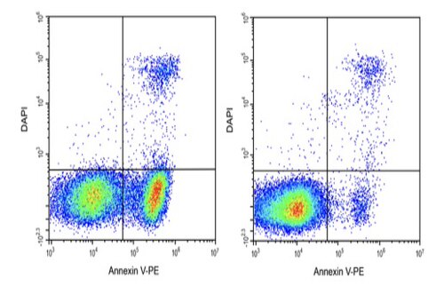 Elabscience® Annexin V-PE/DAPI细胞凋亡检测试剂盒 E-CK-A256