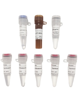 Servicebio一步法TUNEL细胞凋亡检测试剂盒(FITC绿色荧光)50T100T