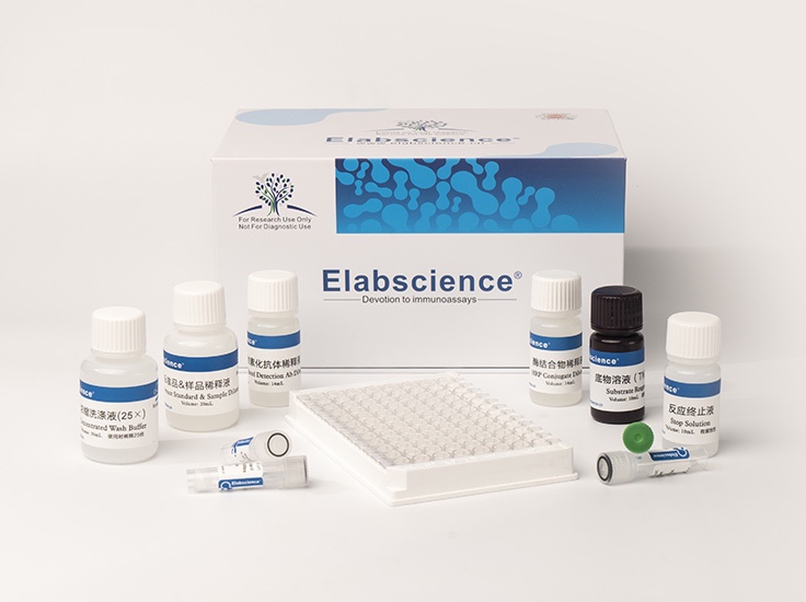 Elabscience®MS-小鼠胰岛素样生长因子结合蛋白6 酶联免疫吸附