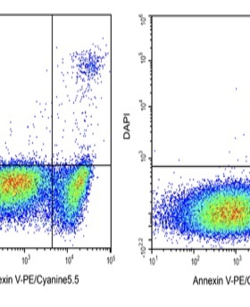 ElabscienceAnnexin V-PE/Cyanine5.5/DAPI细胞凋亡检测E-CK-A266