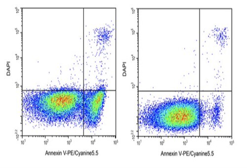 ElabscienceAnnexin V-PE/Cyanine5.5/DAPI细胞凋亡检测E-CK-A266