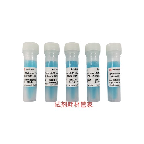 多重探针法qPCR预混液(2x,含UDG,无ROX) 多重qPCR基因表达量分析