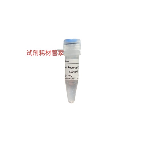 通用下游PCR引物(miRNAqRT-PCR)与miRNA第一链cRNA合成试剂盒搭配