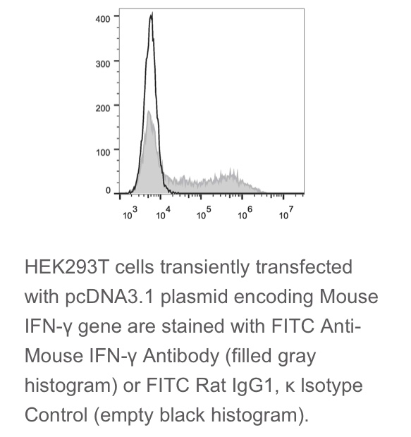 Elabscience®鼠属Th1/Th2/Th17细胞 FITC抗鼠IFN-γ抗体[XMG1.2]