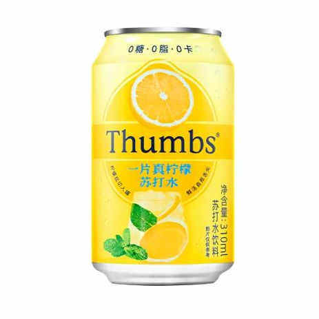 一片真柠檬苏打水饮料310ml*12罐0糖0脂0卡清爽汽水酒吧夜场水饮,咖啡/麦片/冲饮,气泡水,淘宝优惠券,粉丝福利购,淘宝优惠卷