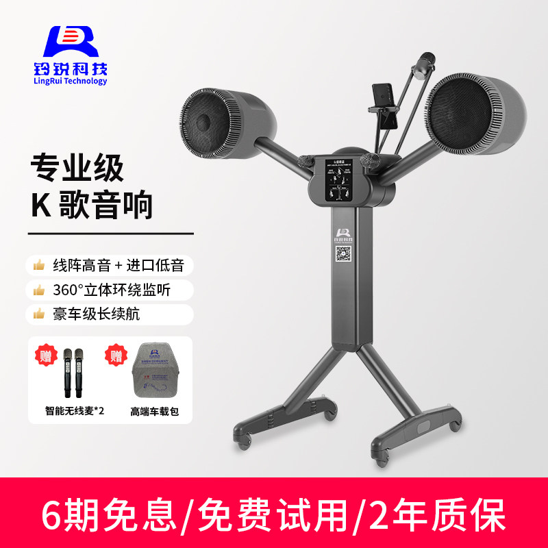 LR铃锐2101-D8移动户外音响便携式k歌功放一体机蓝牙音箱家庭ktv