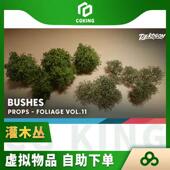 UE5虚幻5写实灌木丛树林矮小植物绿植树木带道具素材