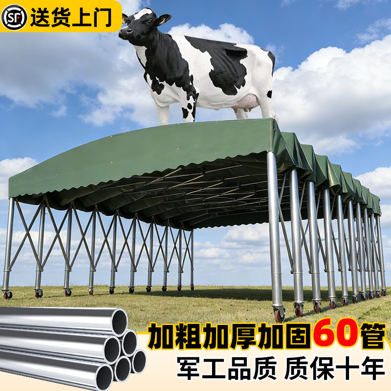 户外大排档雨棚活动伸缩式雨篷停车遮阳蓬移动推拉帐篷夜市推拉棚