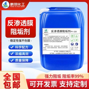 反渗透阻垢剂食品级浓缩液220型DTRO膜除垢清洗软水净水剂阻垢剂