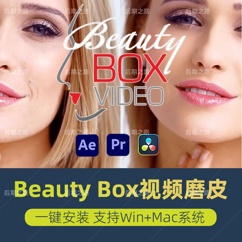 pr/ae磨皮插件beautybox6.0视频美容美颜美白中文支持win/mac