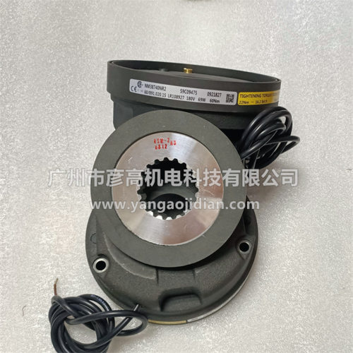科尼法兰泰克起重机电动葫芦刹车制动器转子NM38740NR2 180v 60nm