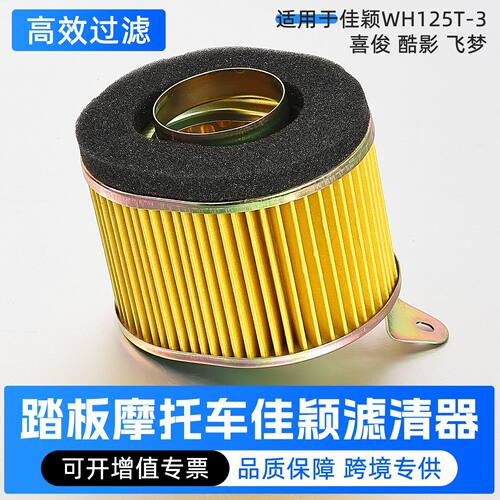 新摩托车WH125T-3佳颖125喜俊 酷影 飞梦 空气滤芯 滤清器 配件