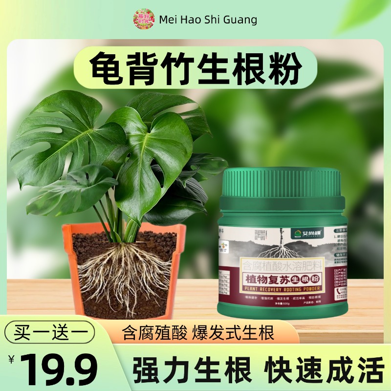 龟背竹专用生根粉快速生根植物通用强力生根壮苗剂观叶植物