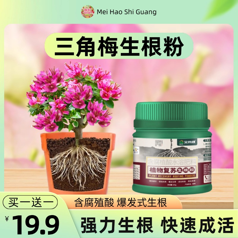 三角梅专用生根粉快速开花粉茶花桂花茉莉生根壮苗促花园艺花肥料