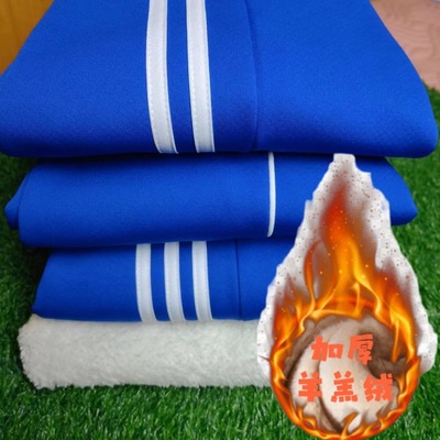 宝蓝色校服裤一条杠两道杠大码