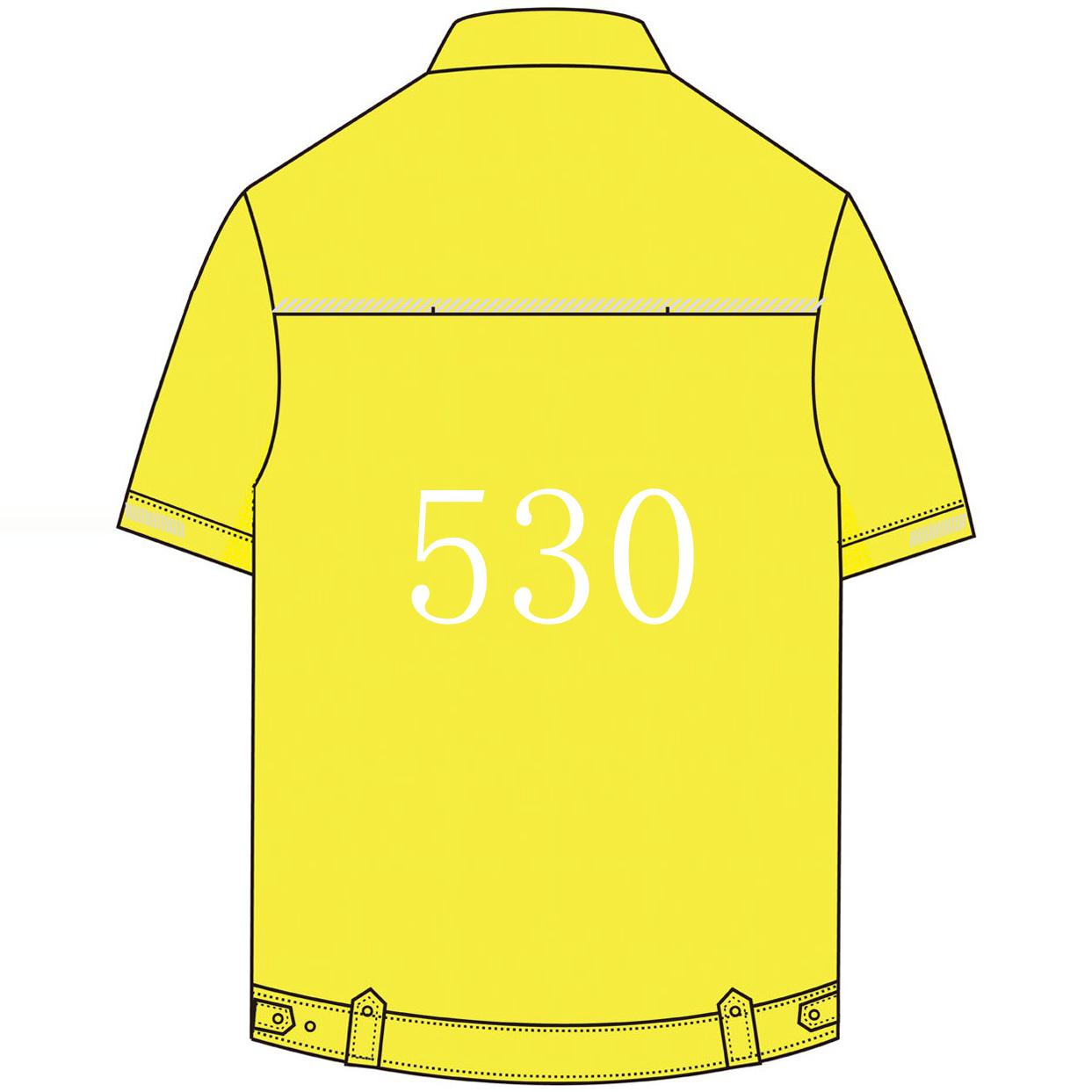 thumbnail for Custom-Made, Bespoke, Spray-Painted, Custom 530