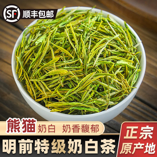 安吉熊猫奶白茶2026新茶奶香白茶