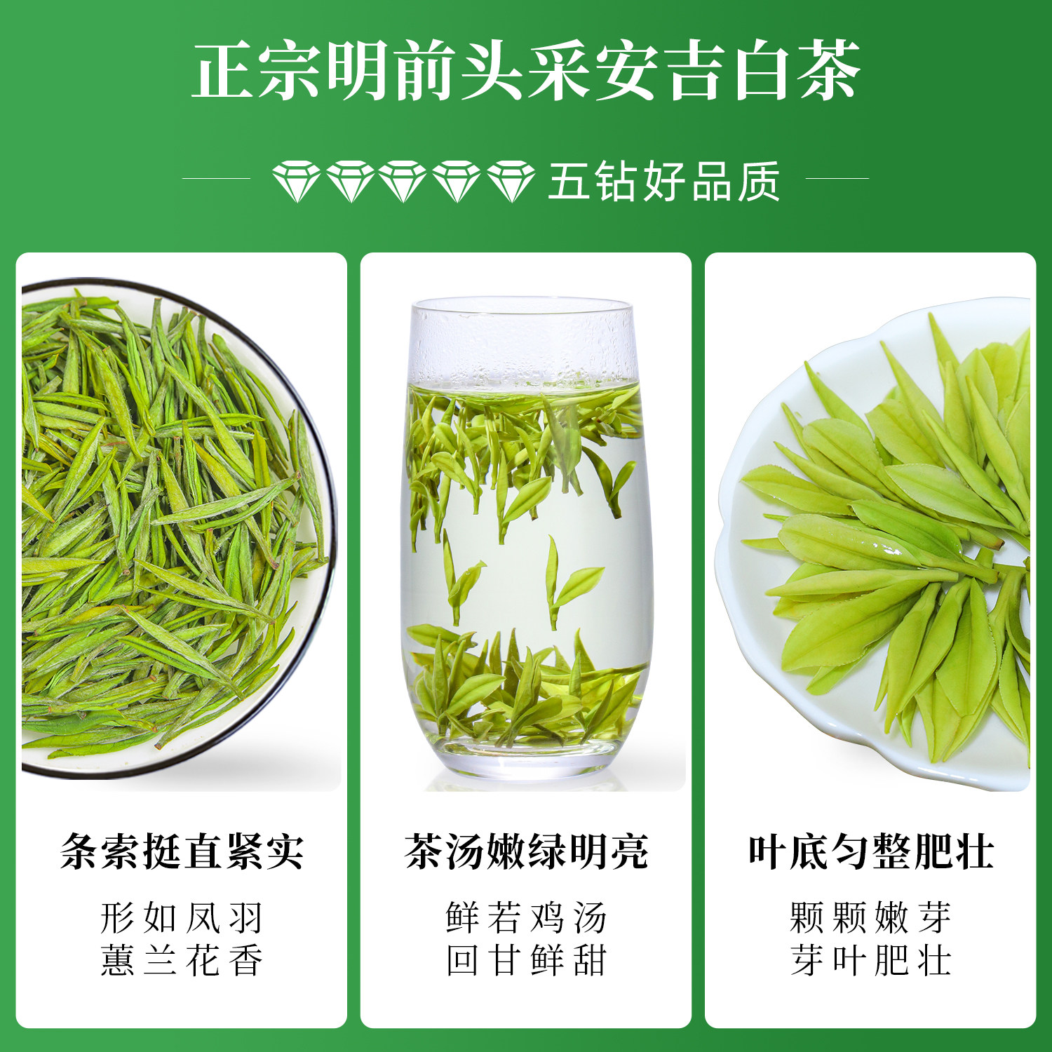 高级特级明前安吉白茶上等好茶叶