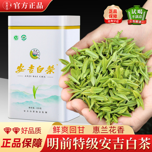 明前特级安吉白茶2025新茶礼盒装正宗浙江高级白茶茶叶官方旗舰店