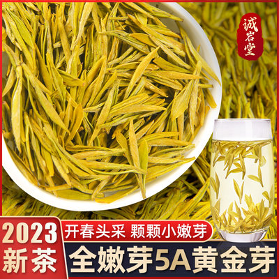 精品黄金芽2024新茶一芽一叶嫩芽