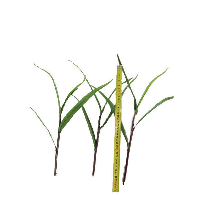 0221新品仿nkm真植物稼玉米苗农作谷物单杆玉米绿植苞米庄苞棒子