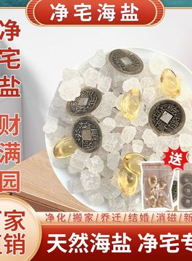 粗盐大粒盐天然日晒净宅颗粒盐海盐净宅摆件消磁净化搬家乔迁摆件