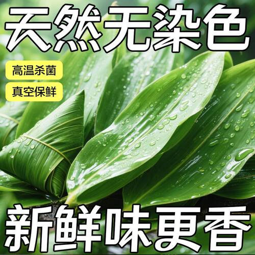 新鲜粽子叶商用批发粽叶家庭装特大号粽叶纯野生湖北粽叶真空包装