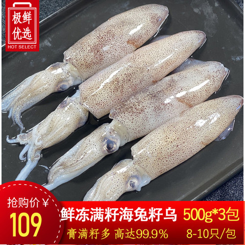 海兔子满籽生鲜新鲜冻海捕笔管鱼