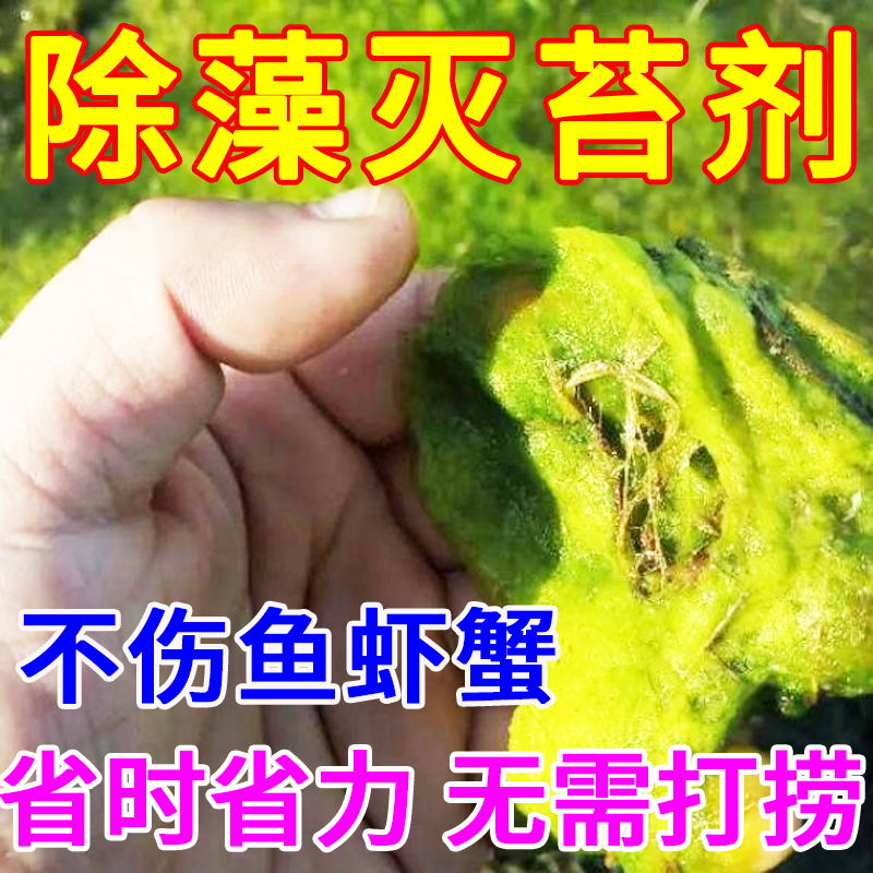 鱼池鱼塘除藻剂去苔剂青苔清除剂神器去鱼缸除绿水绿藻蓝藻不伤鱼