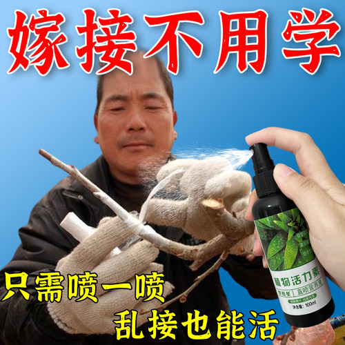 植物嫁接促活液伤口愈合剂果树生根愈伤修剪盆景花卉树木切口