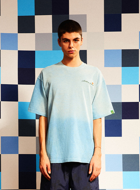 Melting Sadness 小花洗水上衣春夏季穿搭T恤