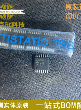 10只MCP2221A-I/ST 全新原装 封装TSSOP-14 接口微控制器