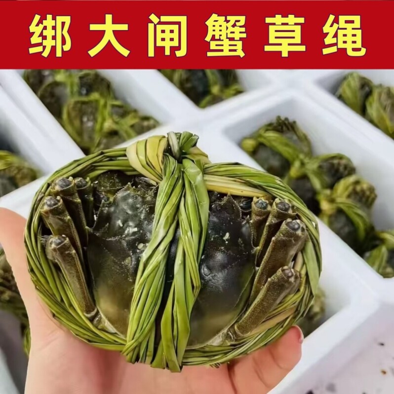 绑大闸蟹草绳东坡肉专用香草绳子捆扎螃蟹草绳马莲草包粽子水草绳