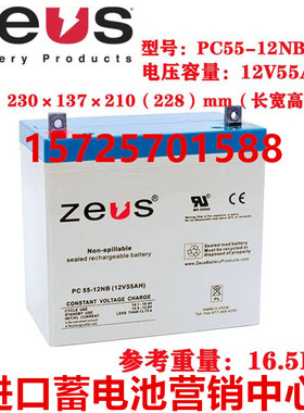 ZEUS蓄电池PC55-12NB直流屏医疗通讯基站 UPS电源适用12V55AH电池