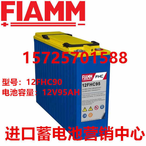 FIAMM蓄电池12FHC95UPS储能