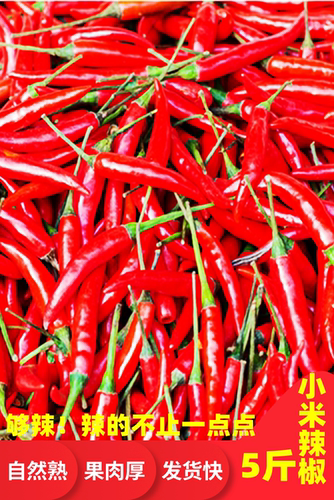 小米辣椒新鲜现摘红辣椒特辣泡椒