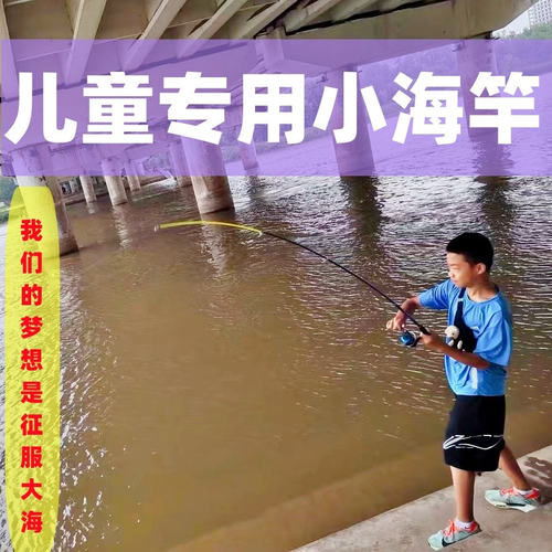 钓鱼竿小学生儿童新手超硬海竿小