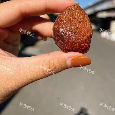 新疆大丑杏500克包邮新疆特产树上干杏杏干