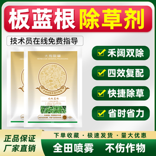 北板蓝根除草剂专用苗后除草剂禾阔双杀灭除草不伤苗精喹禾灵杂