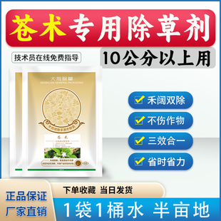苍术专用除草剂苍术苗后灭草药安全不伤苗精喹禾灵农药厂家幼苗床