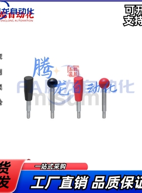 LBG LBGB LBGS6 8 10 12-63 80 100 125 160 200-R B 握柄把手