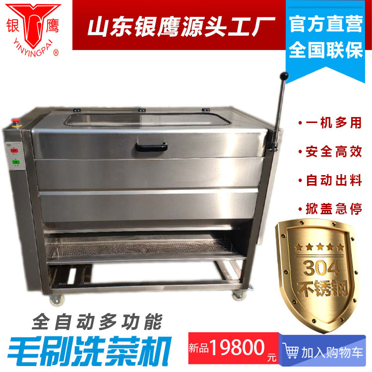 银鹰洗菜机山东银鹰CX100II全自动大型商用洗菜机果蔬清洗土豆脱