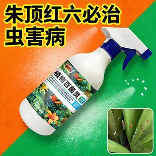 朱顶红红斑病红锈病烂根专用药杀菌剂催花爆芽素种球根营养液肥料