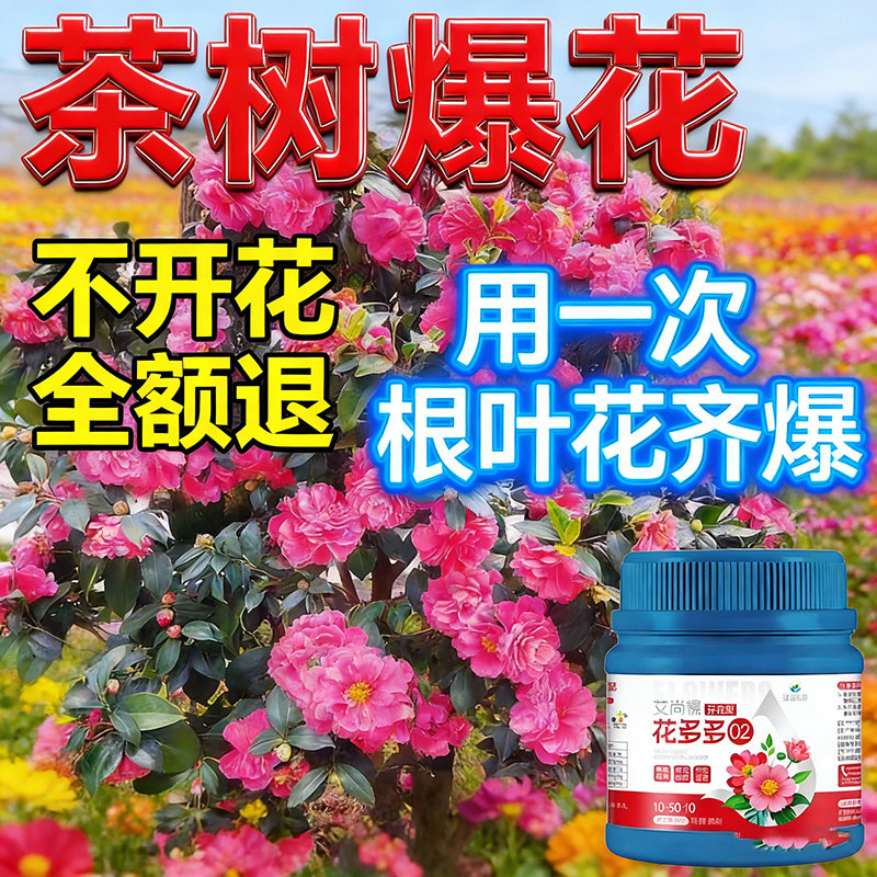 茶花专用肥促花爆花肥料花卉养花营养液预防黄叶枯叶黑斑复合肥,鲜花速递/花卉仿真/绿植园艺,家庭园艺肥料,淘宝优惠券,粉丝福利购,淘宝优惠卷
