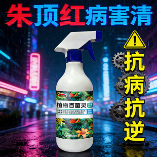 朱顶红红斑病红锈病烂根专用药杀菌剂催花爆芽素种球根营养液肥料