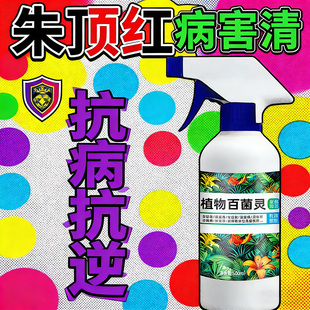 朱顶红红斑病红锈病烂根专用药杀菌剂催花爆芽素种球根营养液肥料