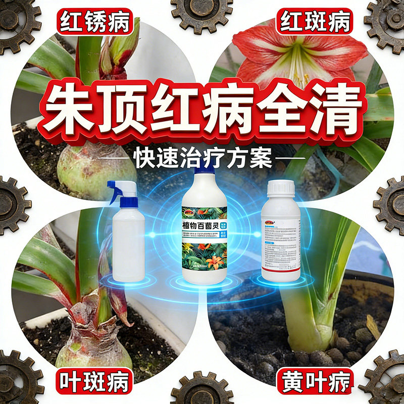 朱顶红红斑病红锈病烂根专用药杀菌剂催花爆芽素种球根营养液肥料,鲜花速递/花卉仿真/绿植园艺,家庭园艺肥料,淘宝优惠券,粉丝福利购,淘宝优惠卷