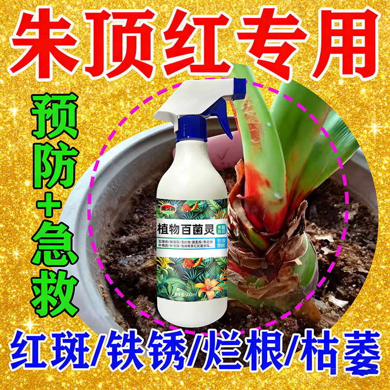 朱顶红红斑病红锈病烂根专用药杀菌剂催花爆芽素种球根营养液肥料,鲜花速递/花卉仿真/绿植园艺,家庭园艺肥料,淘宝优惠券,粉丝福利购,淘宝优惠卷
